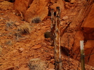 photo thumbnail #1