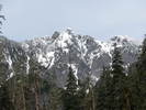 photo thumbnail #8