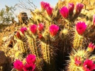 photo thumbnail #3