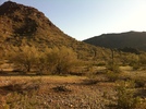 photo thumbnail #4