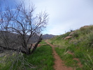 photo thumbnail #4