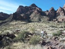 photo thumbnail #3