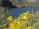 photo thumbnail #9