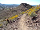 photo thumbnail #2