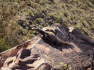 photo thumbnail #7