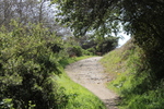 photo thumbnail #9