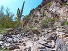 photo thumbnail #8
