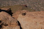 photo thumbnail #11