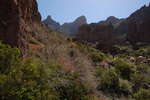 photo thumbnail #13