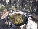 photo thumbnail #8