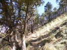 photo thumbnail #11