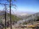 photo thumbnail #12
