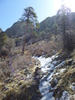photo thumbnail #14