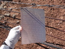 photo thumbnail #2