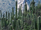 photo thumbnail #3