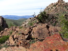 photo thumbnail #5