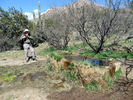 photo thumbnail #8