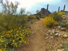 photo thumbnail #3