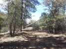 photo thumbnail #7