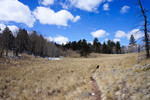 photo thumbnail #8