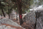 photo thumbnail #13