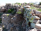 photo thumbnail #14