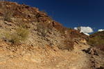 photo thumbnail #3