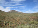photo thumbnail #11