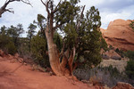photo thumbnail #6
