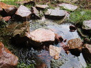 photo thumbnail #10