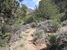 photo thumbnail #12