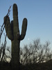 photo thumbnail #1