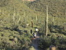 photo thumbnail #2