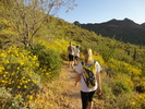 photo thumbnail #3