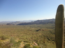 photo thumbnail #8
