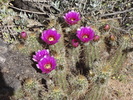 photo thumbnail #13