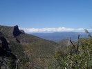 photo thumbnail #14