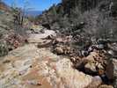 photo thumbnail #7