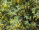 photo thumbnail #12