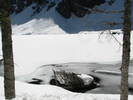 photo thumbnail #11