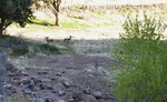 photo thumbnail #1