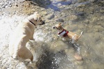 photo thumbnail #8
