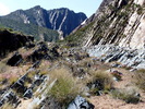 photo thumbnail #12