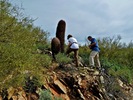 photo thumbnail #2