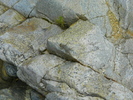 photo thumbnail #13
