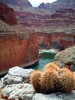 photo thumbnail #14