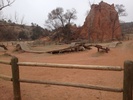 photo thumbnail #1