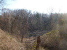 photo thumbnail #13