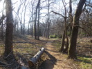 photo thumbnail #15