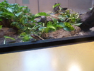 photo thumbnail #7